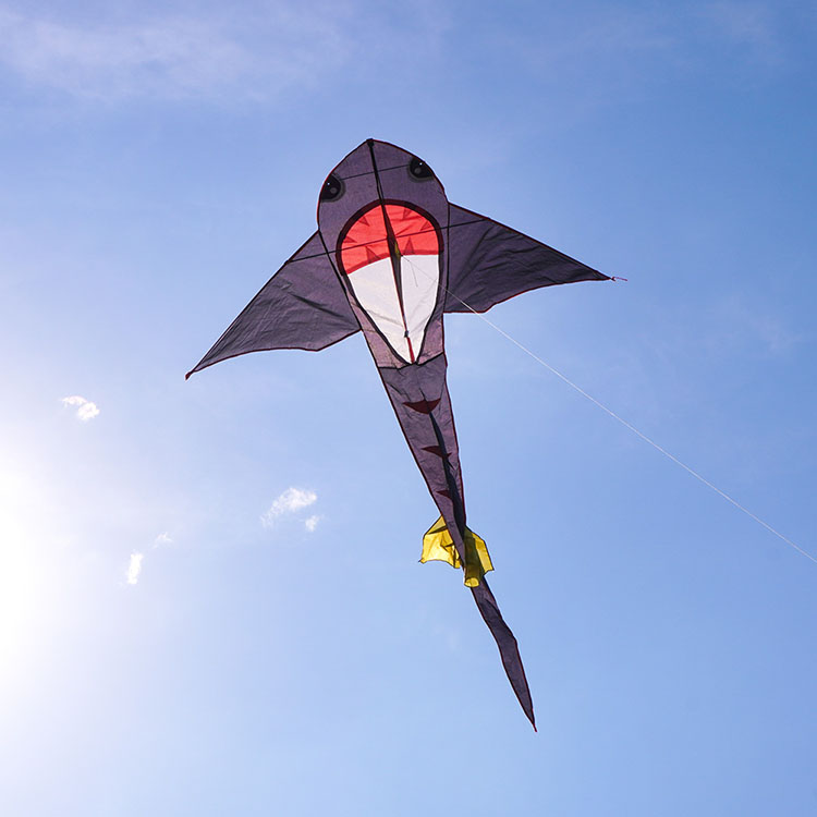 黑色小鯊魚造型風箏(148*248)(全配/附150米輪盤線)