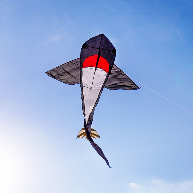 黑色大鯊魚造型風箏(180*361)(全配/附150米輪盤線)