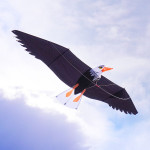 3D立體白頭鷹造型風箏(美國老鷹)(2米前桿式)(全配/附150米輪盤線)