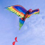 3D立體鸚鵡造型風箏(金剛鸚鵡)(140*230)(全配/附150米輪盤線)