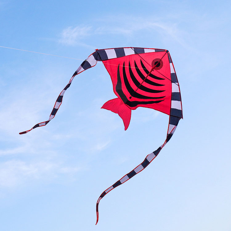 熱帶魚造型彩色風箏(118*205)(全配/附150米輪盤線)