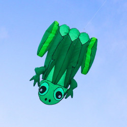 大青蛙造型風箏(115*145)(軟式風箏)(全配/附150米輪盤線)